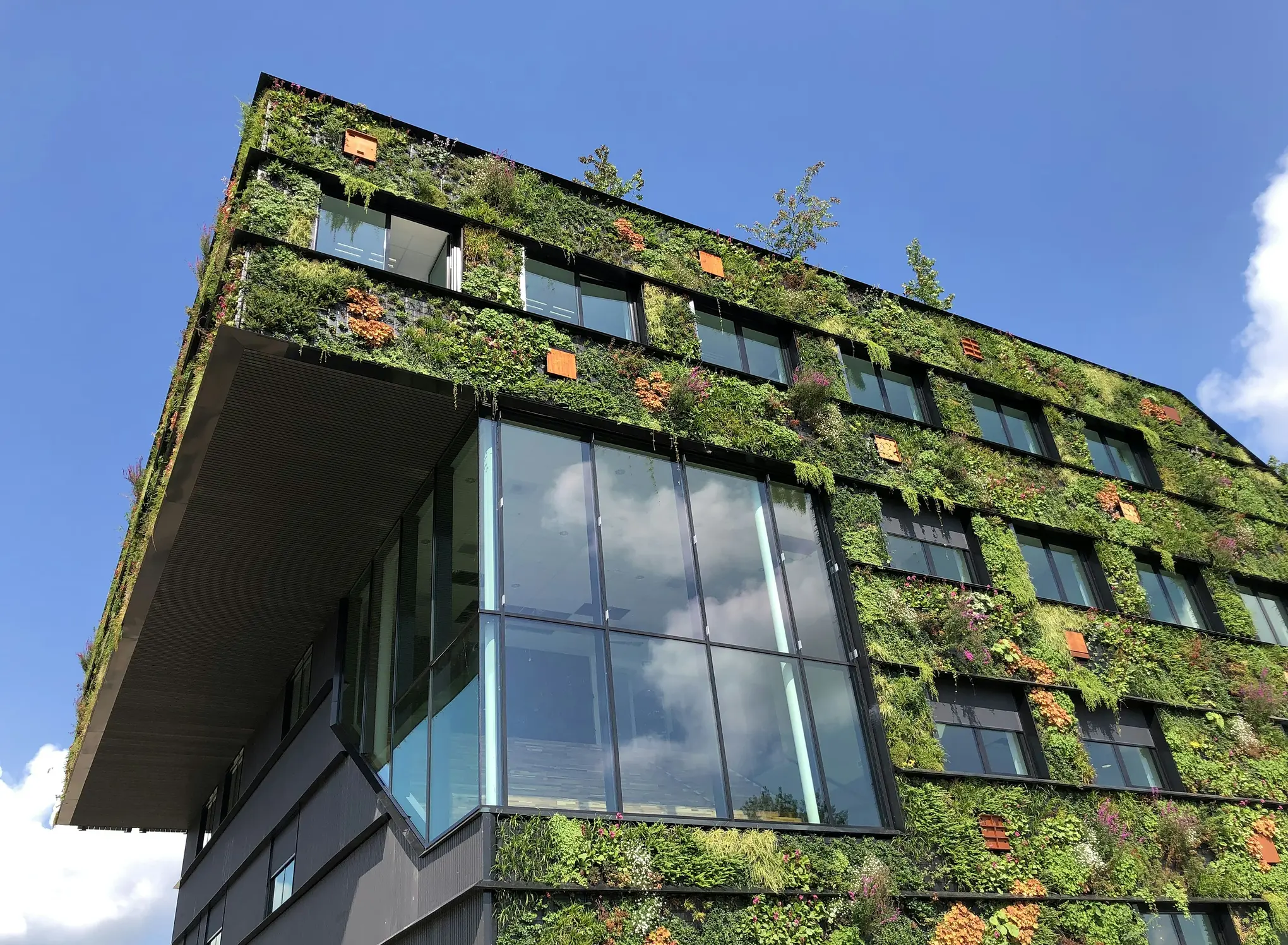 Discovery Building
