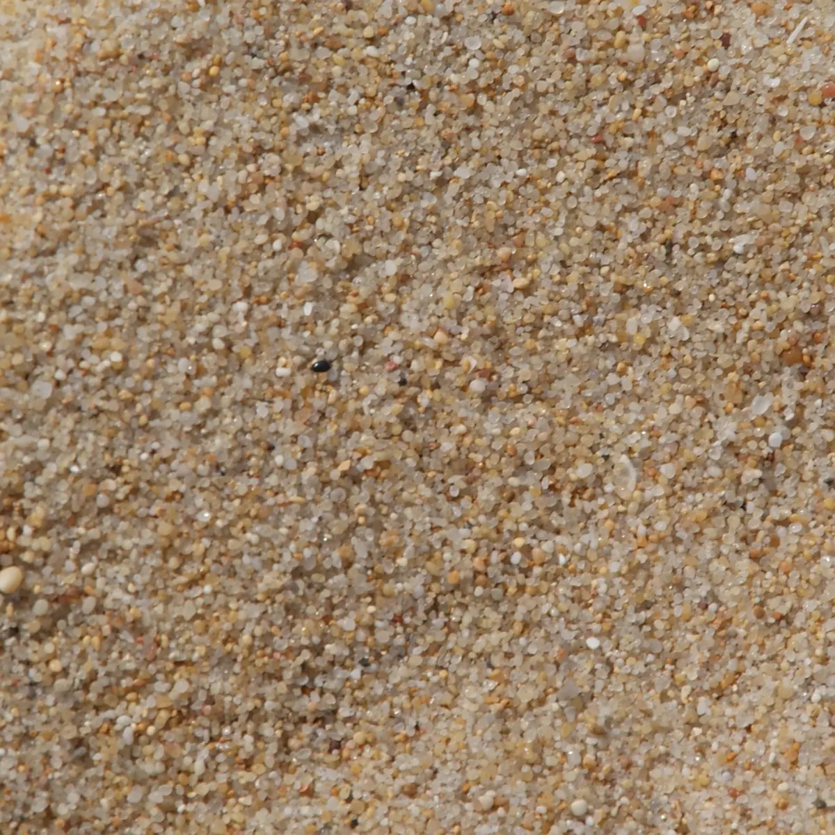 Cát Silic tinh chất lượng cao